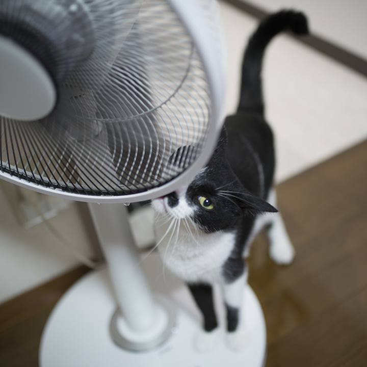 00d06578 9721 4893 ac24 5cc6a30acb37 1534847458051