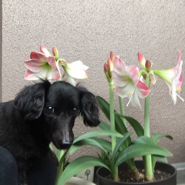 00d06bed 3550 43df 933d 25b6aa1d624f 1558739650363