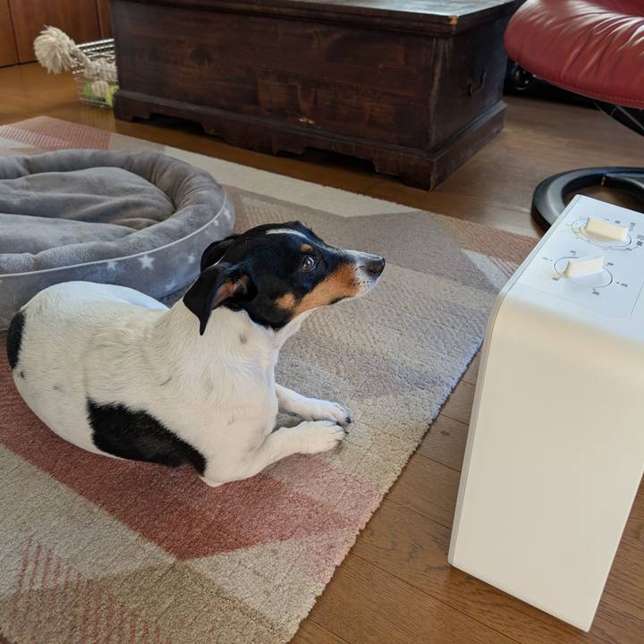 00d0abaf 16cd 486e bae2 666c6cff0d5a 1737174332445