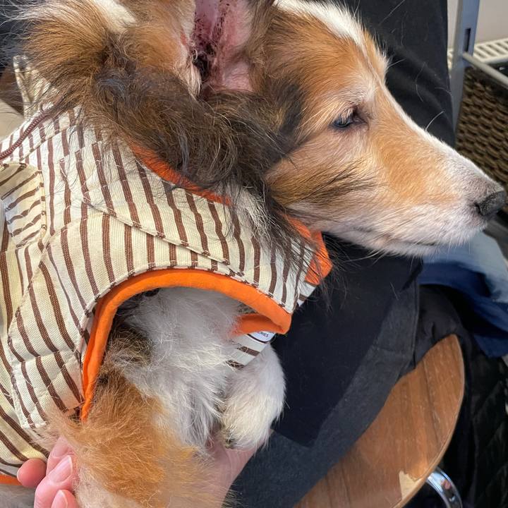 00d0b1e8 668a 495f ab47 f52b5173bb66 1636457655997