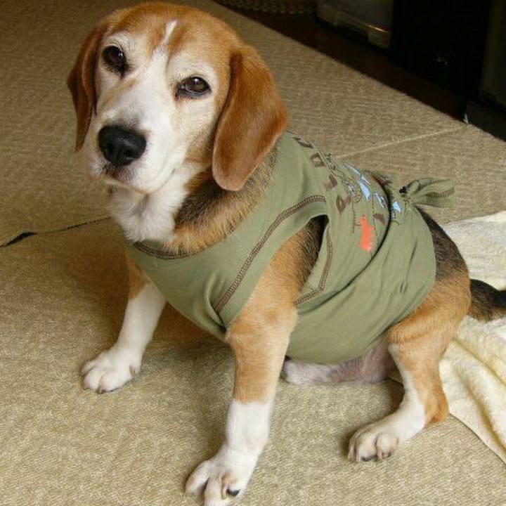 00d0ba63 3c41 4369 8c5d f50b5225bf1b 1639699102200