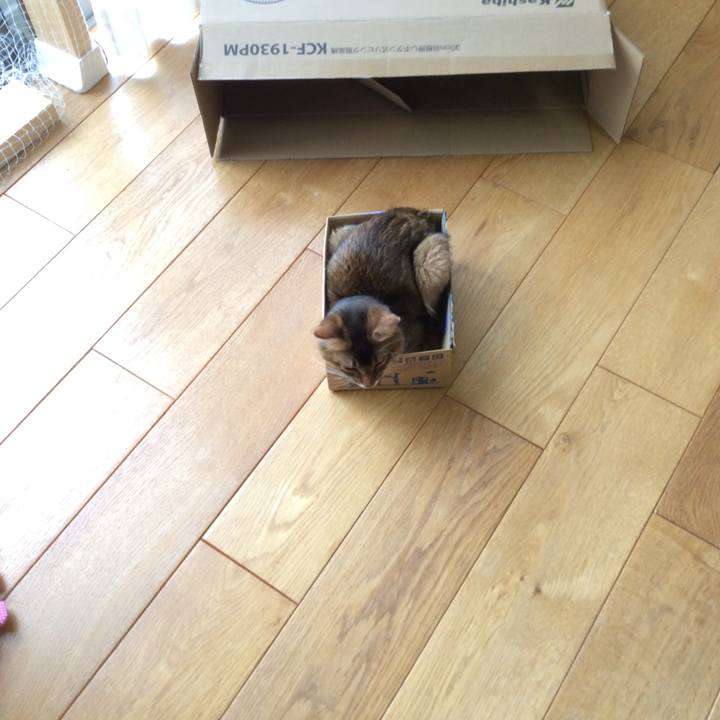 00d0c7aa 70fa 438b 9adc 45b1c09f8e52 1564188700855