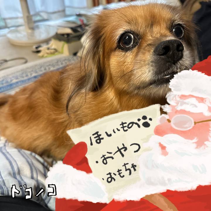 00d0e436 07a9 47ef 97b2 8e62da053db0 1729112895560