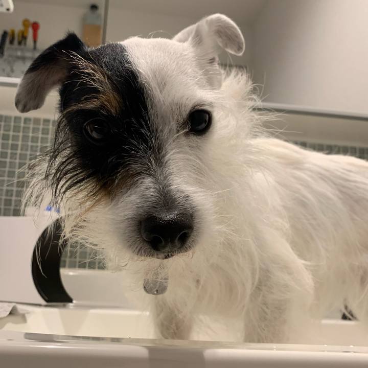 00d10c52 eb7d 4034 a448 a712371a3d04 1645340802043