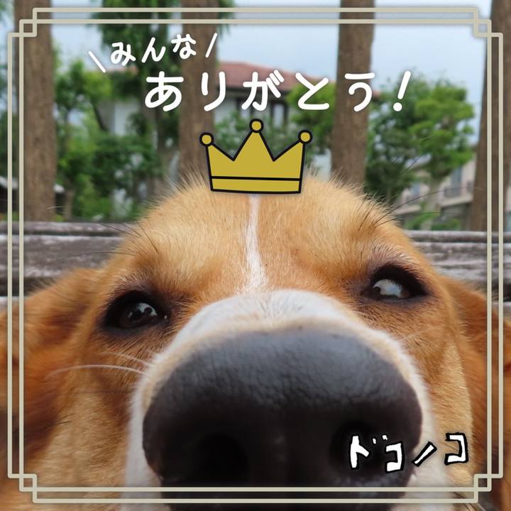 00d13333 1c47 4bd3 a413 70786473953f 1622858503344