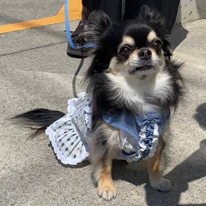 00d13bfc f58d 46af 9dfe 4cb44f1c35e7 1651716418835