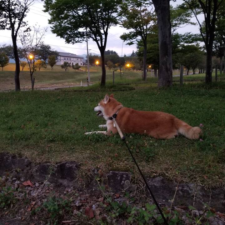 00d149b6 d905 47e9 87f9 156909bf0854 1663319004458