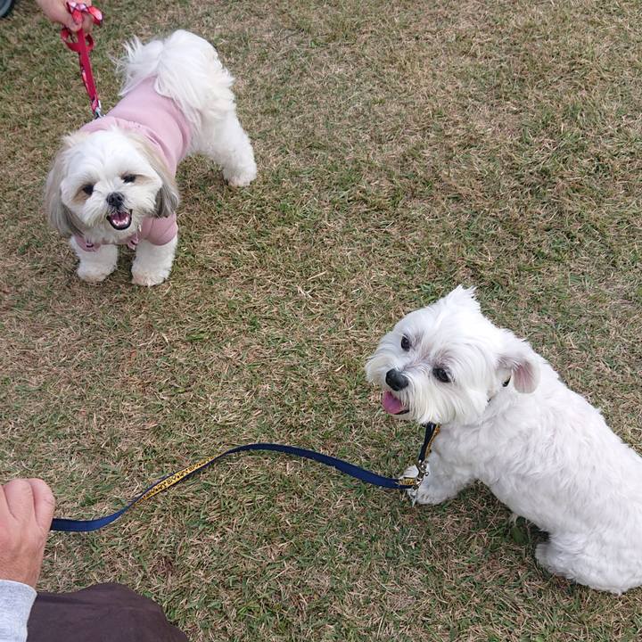 00d1544c b0a8 4f28 95bb 9459e2e74b7c 1668243059475