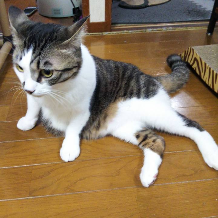 00d1559c 2d62 4f22 b929 c9a634c4f0e7 1645702296565