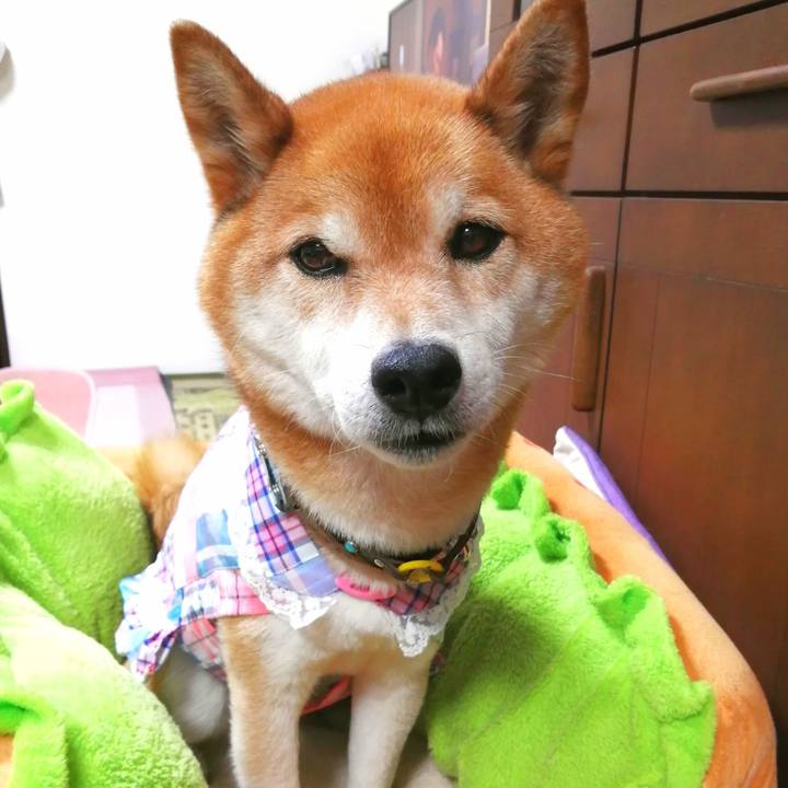 00d1a8dd d4e9 4ce5 a4a3 1ba2162b65c0 1687421267014