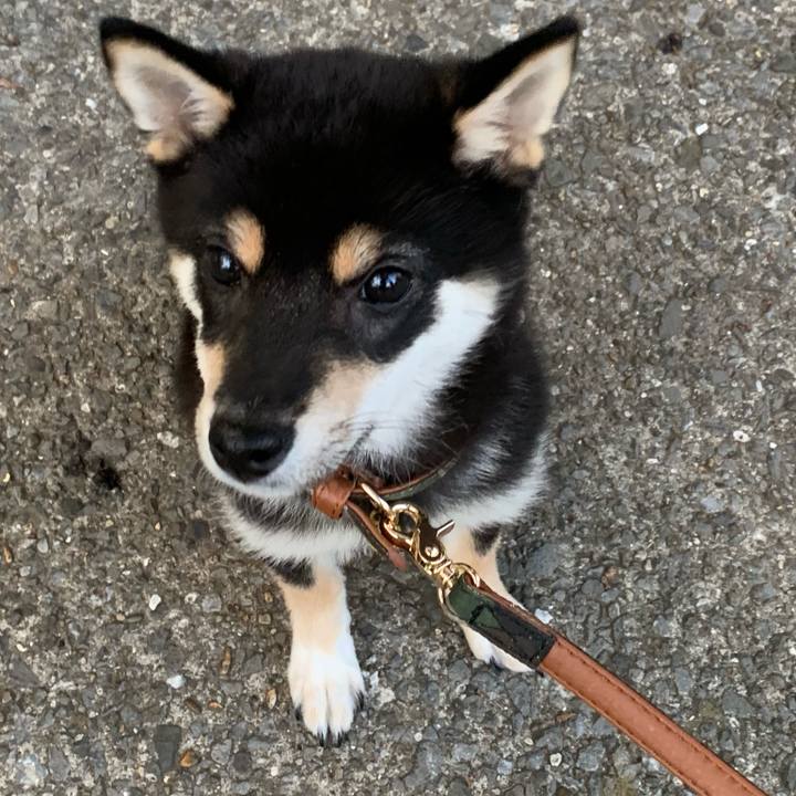 00d1a9bd 261b 4c62 9272 c3c38bb05628 1559383808015