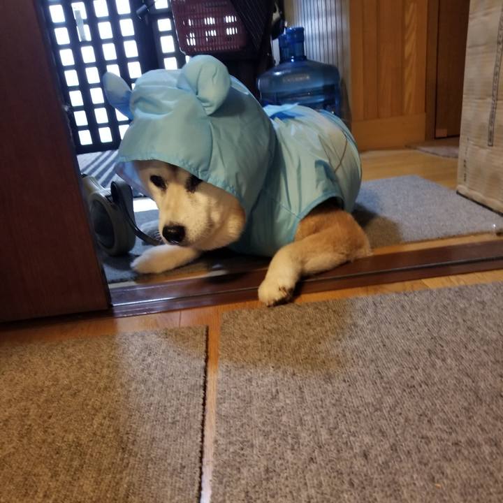 00d1cbcb 232b 42a8 a5fa f216e21e9580 1760945362131