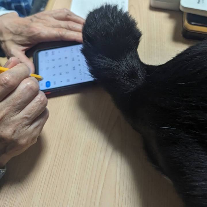 00d206d1 416e 40ad 9abe 39d4eca9303b 1714462984168