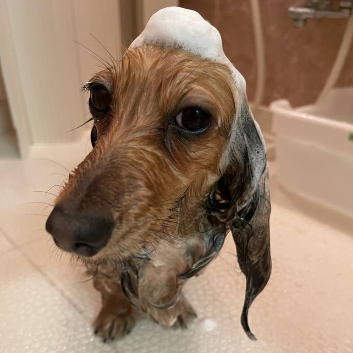 00d21492 a399 4b25 9224 a4ab1ab25ea0 1677407249401