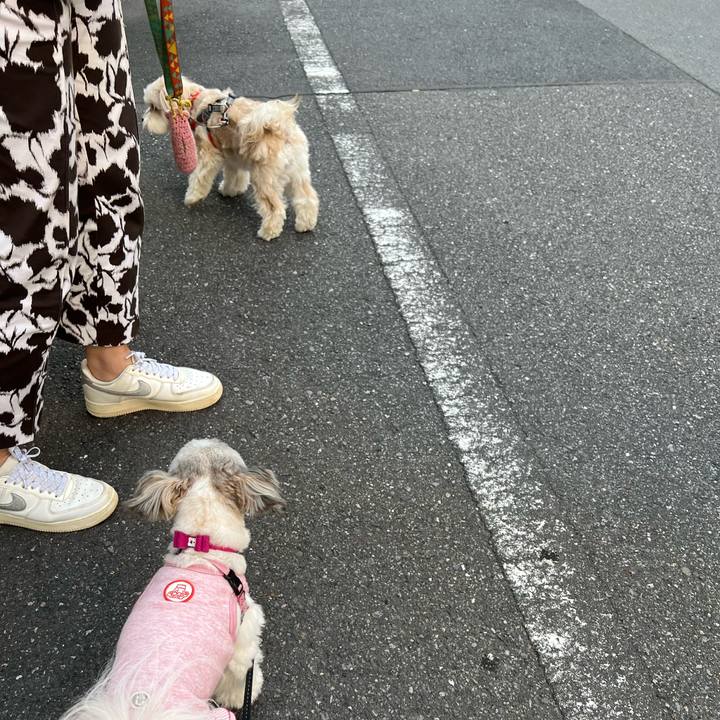 00d232ed b2c0 456b 9850 6ce9d56ff7c0 1714649965815