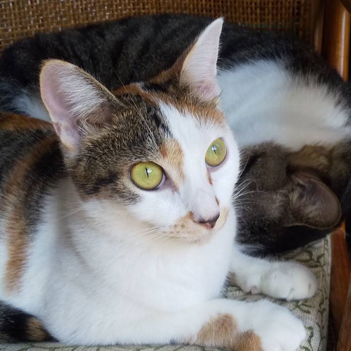 00d243cc a9fc 4420 adfd 73f60ac62201 1664843278921