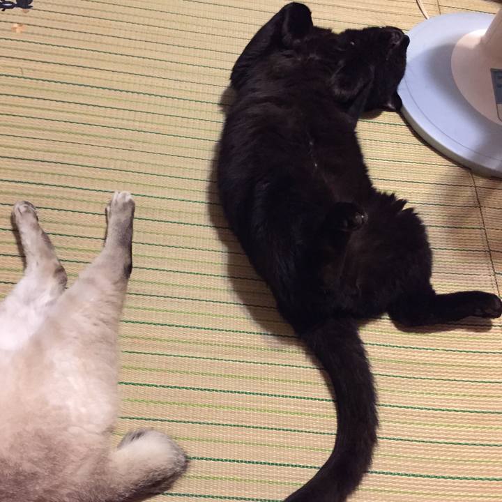 00d25c21 dae4 4b30 9a80 b2c9bc6c5de7 1532952598204