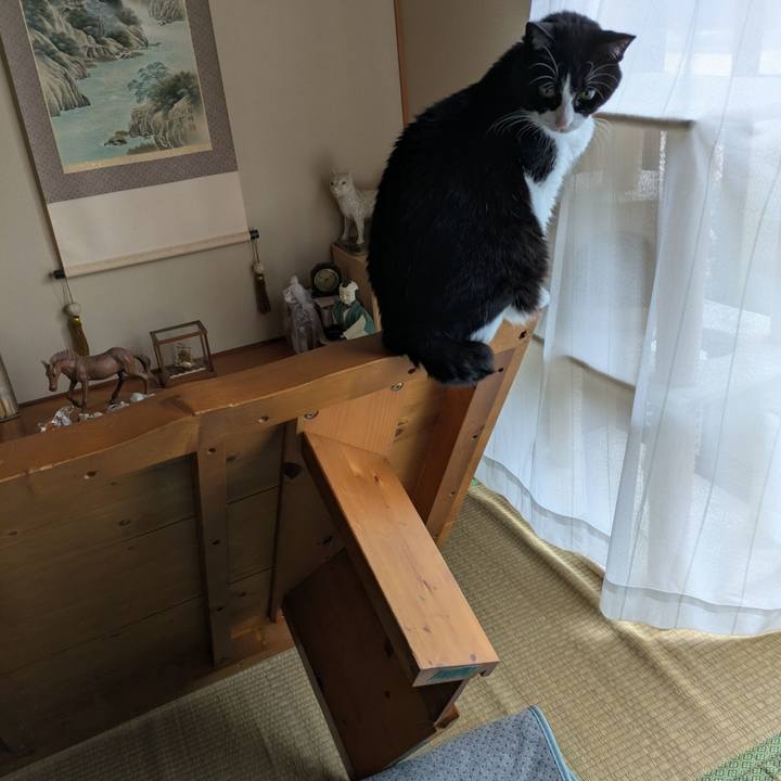 00d27916 8e54 498c 93bf 884e72111491 1761377925999