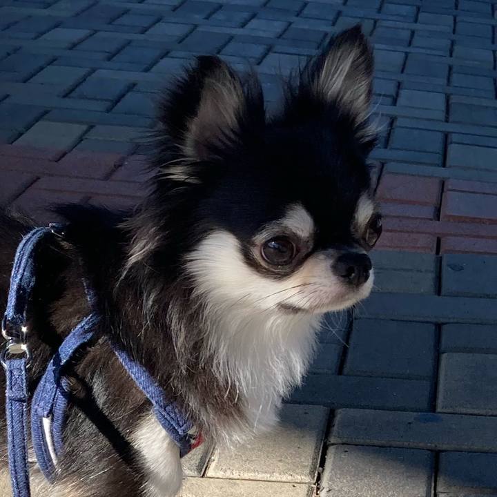 00d2cf1f 1098 4926 b2fd 633a8bf13abf 1633148385414