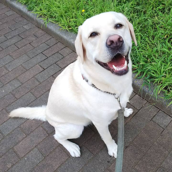 00d2dee3 85f8 4200 af33 1bdd3a61dbbe 1536718382714