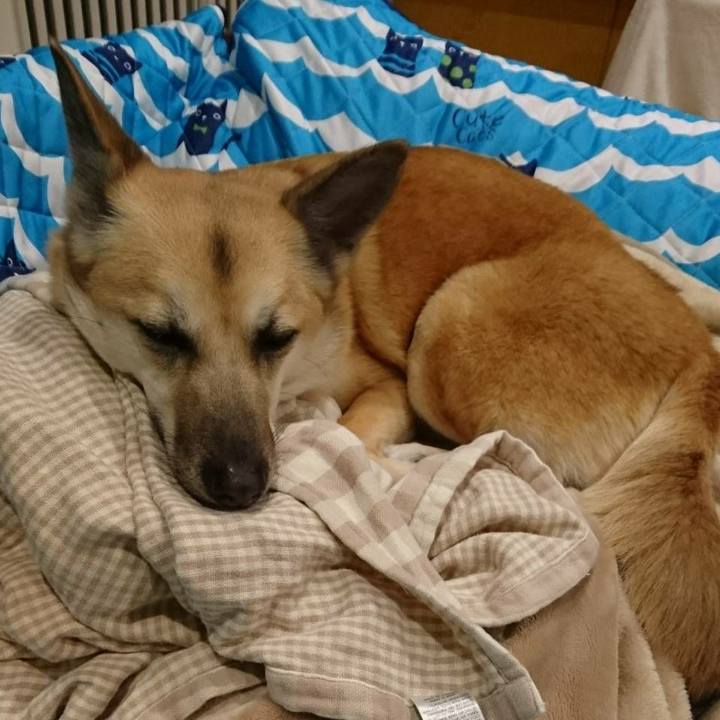 00d312d3 69a6 4174 986c 3fb16fc05d7e 1518617749765