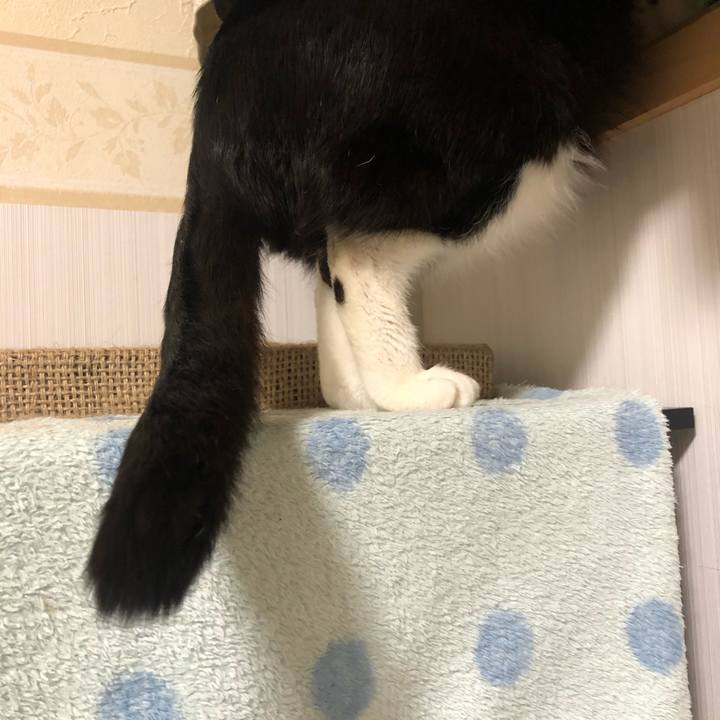 00d31d50 c127 45c5 8d43 26a30a92ffeb 1615580510082