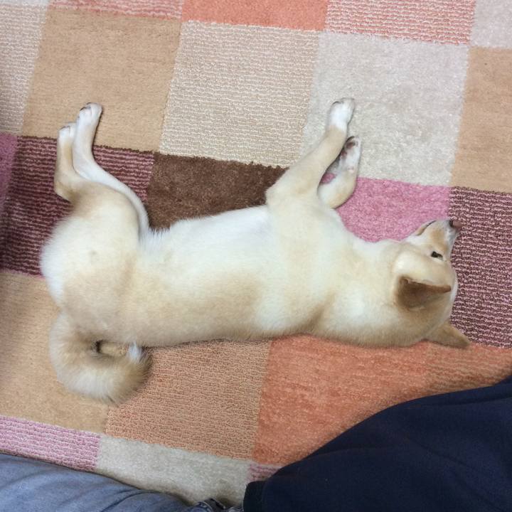 00d321d3 9b56 47b1 b933 8a2356c9c757 1516408322947