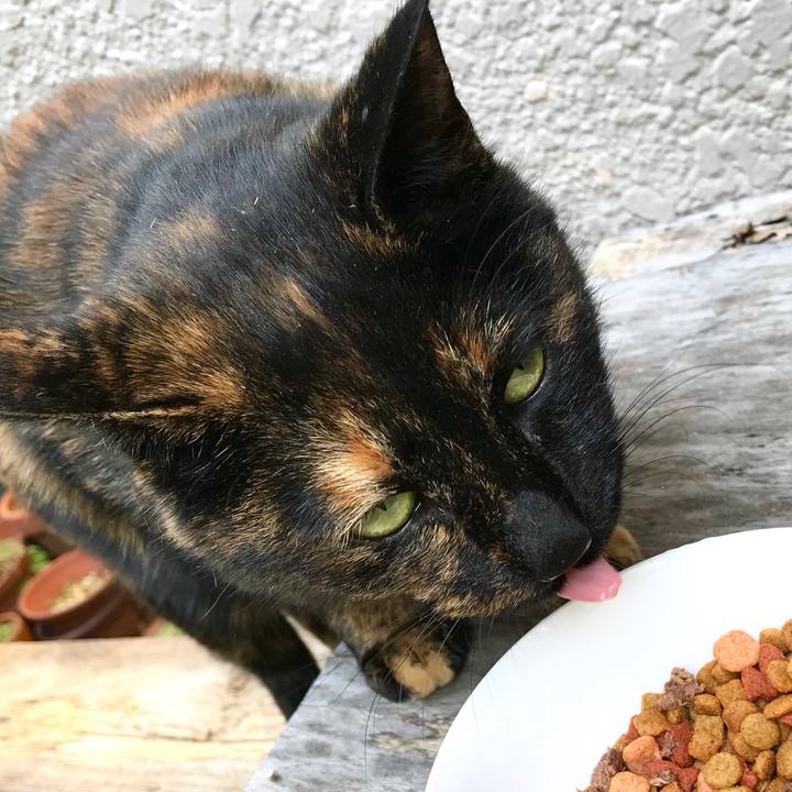 00d3358e 91df 4f2b bec2 2e5914373f04 1509939505164