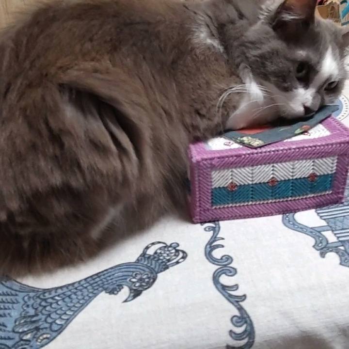 00d33e72 9b9b 4f02 902a 88dff3ed5219 1699268633749