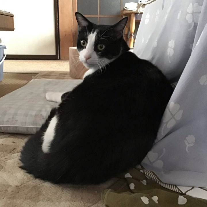 00d34233 0074 4f9a a08d ad69d8eec8fb 1700123646387