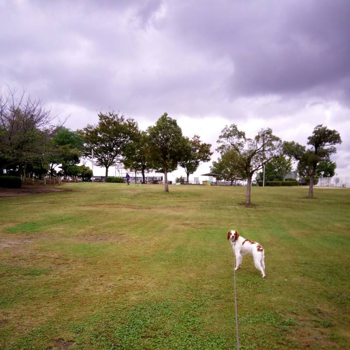 00d3719e e9e5 4b97 865e ce00c1cbfe39 1508403466346