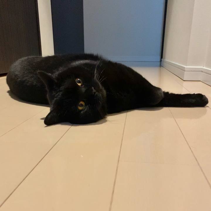 00d38632 cefa 4038 b2dc 1f4b39d31a23 1622413224631