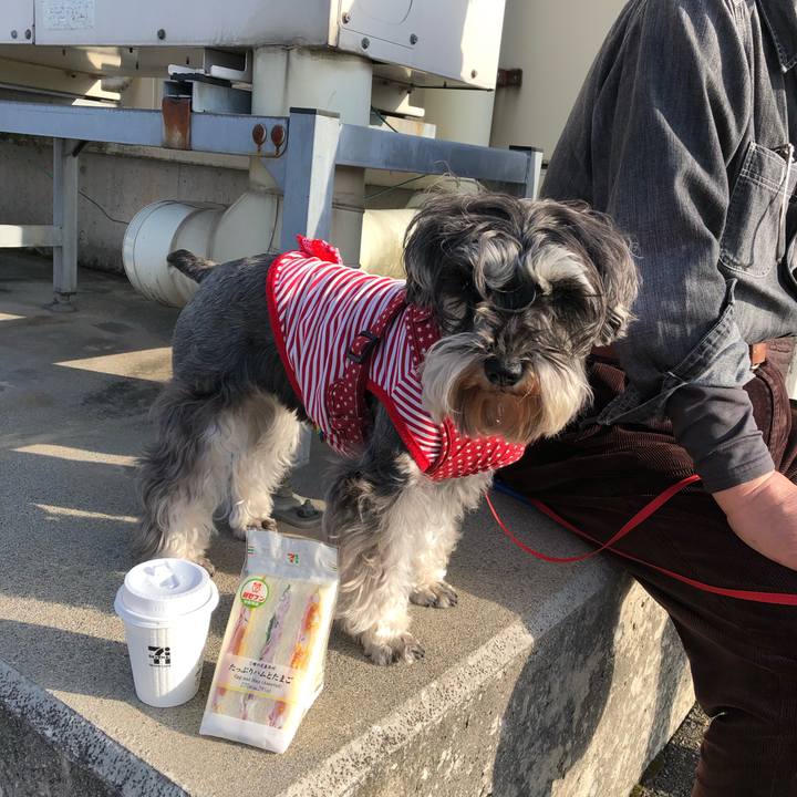 00d38919 608d 4769 83e1 c4c097e412e6 1554549355007