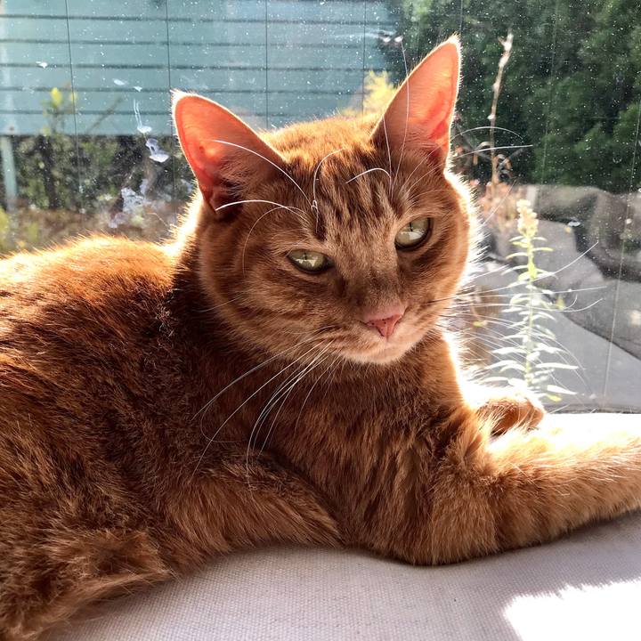 00d39f12 0653 4a52 b6d6 6095ea4da710 1513403921024