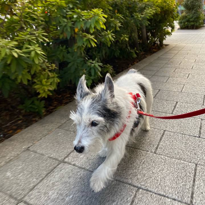 00d3a357 cb90 406b bf14 0b5f6853c470 1608767550173