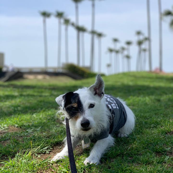 00d3d318 5920 4524 8bc7 e0f222d540a5 1713580264219