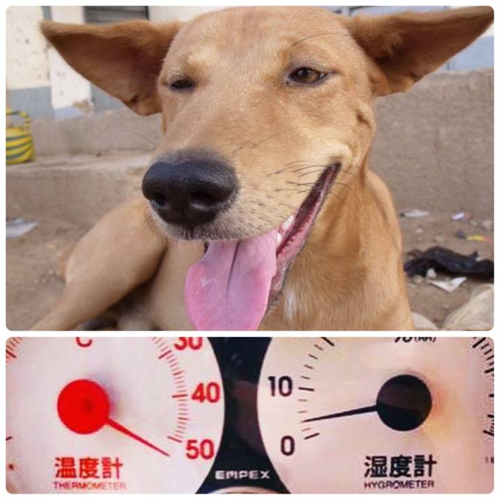 00d3e980 3d11 4430 9bc5 6c372addc5ae 1548587414219