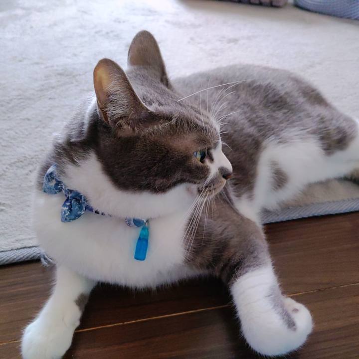 00d3f31f 0688 43c9 9b22 df4fb2be80ee 1664676542671