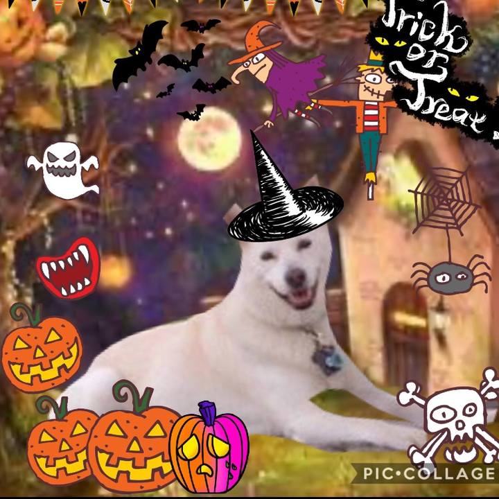 00d413e5 0c3f 4199 9cbb e03ef95995fc 1572526919362