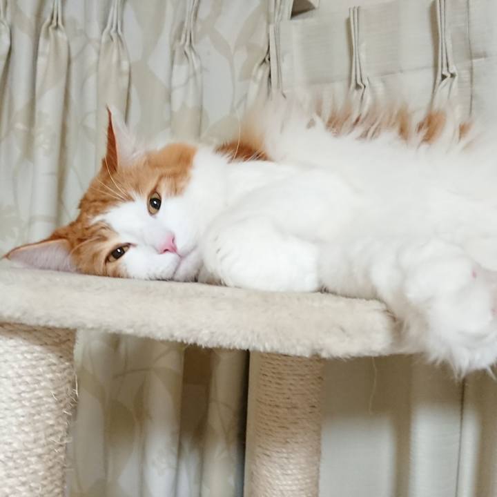 00d43061 40e9 4a92 bcfc a3bcb378ead0 1516023062089