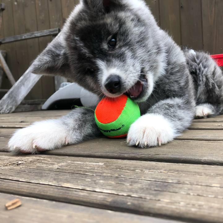 00d43148 148f 4aeb a6b3 c346cd18fe9f 1553315871315