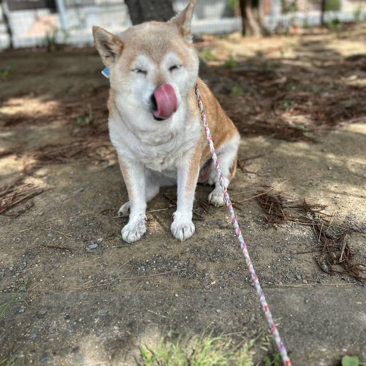 00d438a8 46c4 41ee bc86 e932a460598c 1750638910712