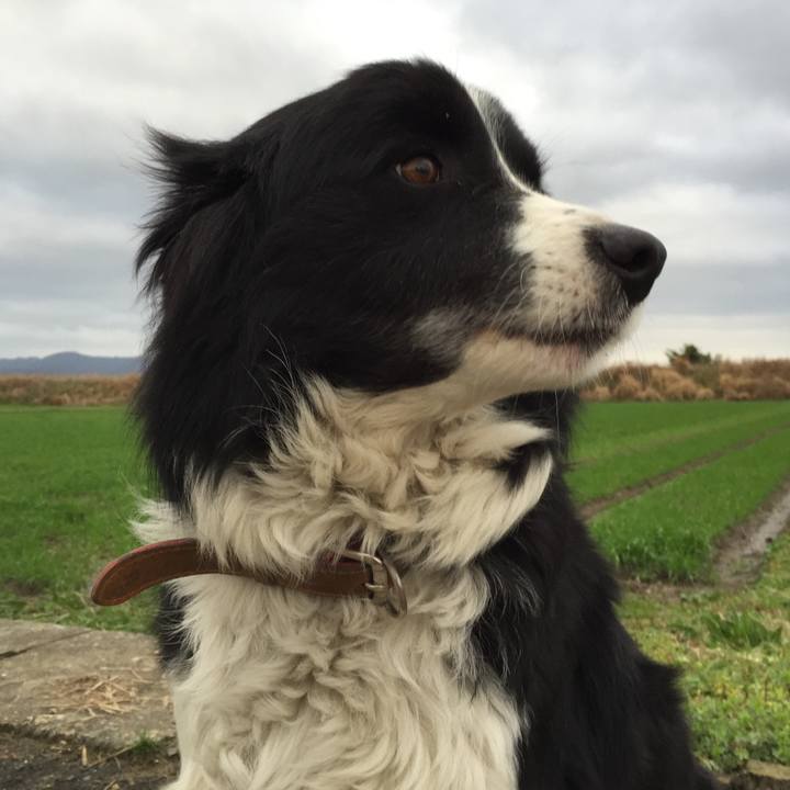 00d443ba 7388 432b 9a84 a7e7a9be19fa 1520290053645