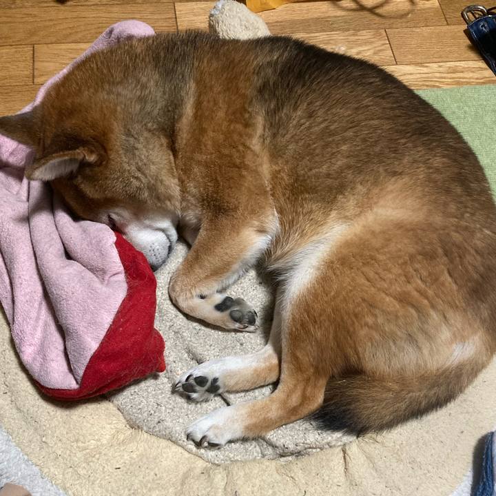 00d44cd8 3b5b 4519 9415 afc98e2df012 1668862573581