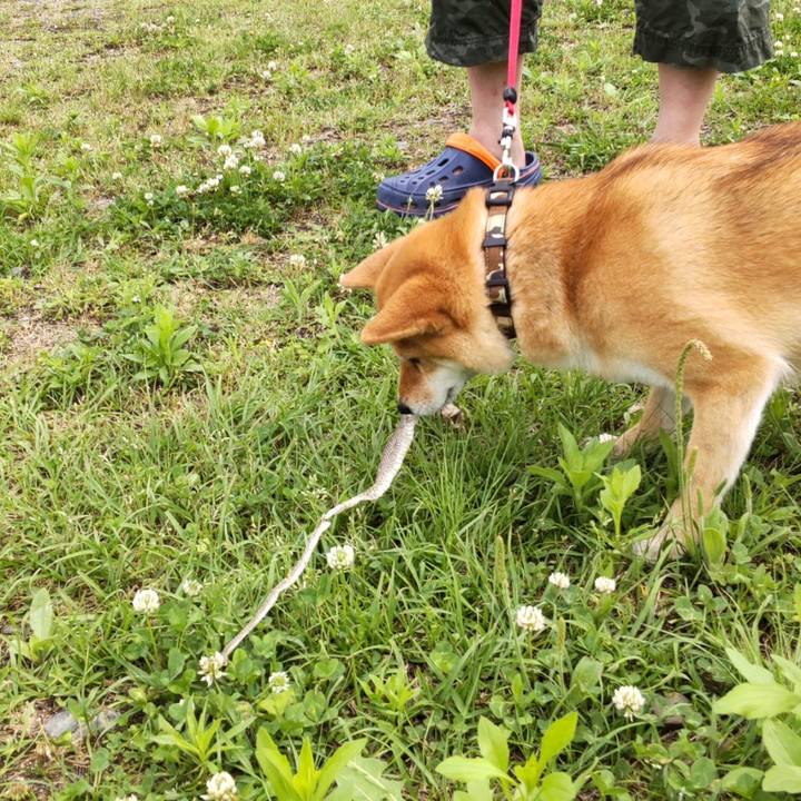 00d470a8 136b 4fdd b248 4810196ffae8 1763440881771