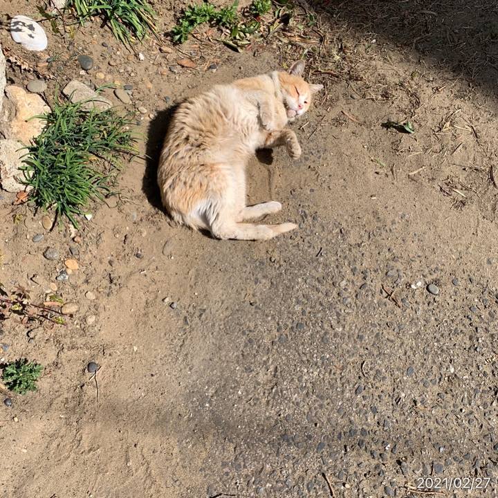 00d49a8e 6faa 47f0 9203 714caea0fbee 1614400846385