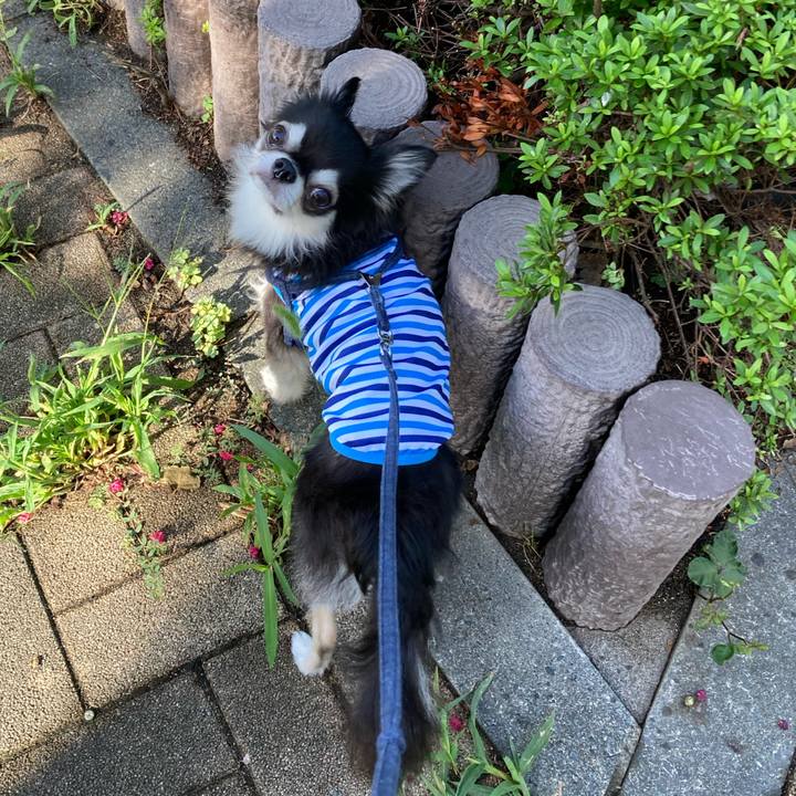 00d4a514 6ce2 4218 a5ec 1bf73420f401 1694357084887