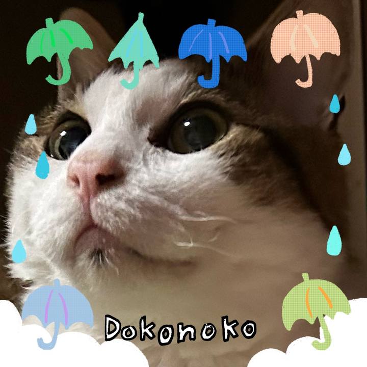 00d4d521 bd6d 4c38 8ed1 2d242dfe5f11 1717633348669