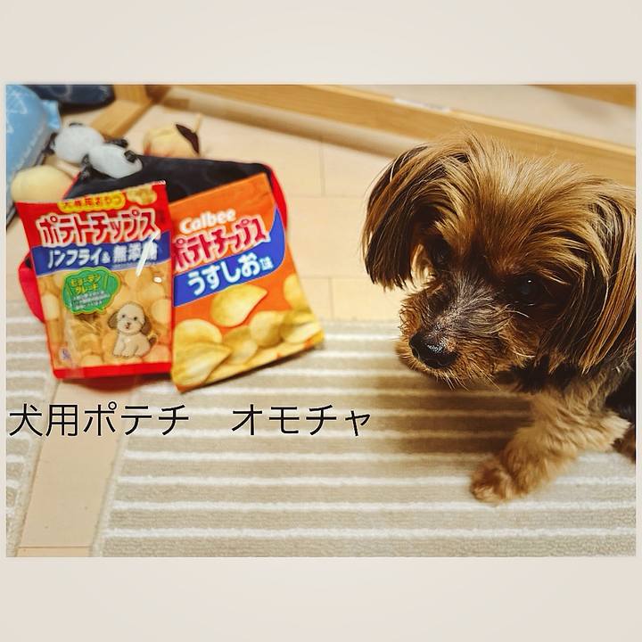 00d54b34 3960 4fef a07d 04094e4de34f 1726922589257