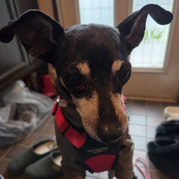 00d56441 c519 44ca 863f bba4879b5a09 1767741849959